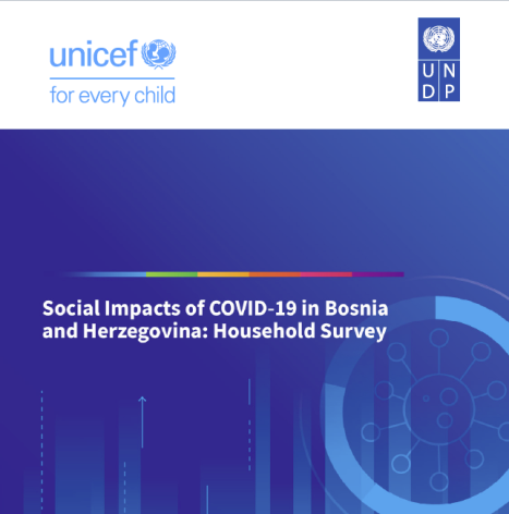 Procjena posljedica COVID-19 na društvo u Bosni i Hercegovini / Social impacts of Covid-19 in Bosnia and Herzegovina